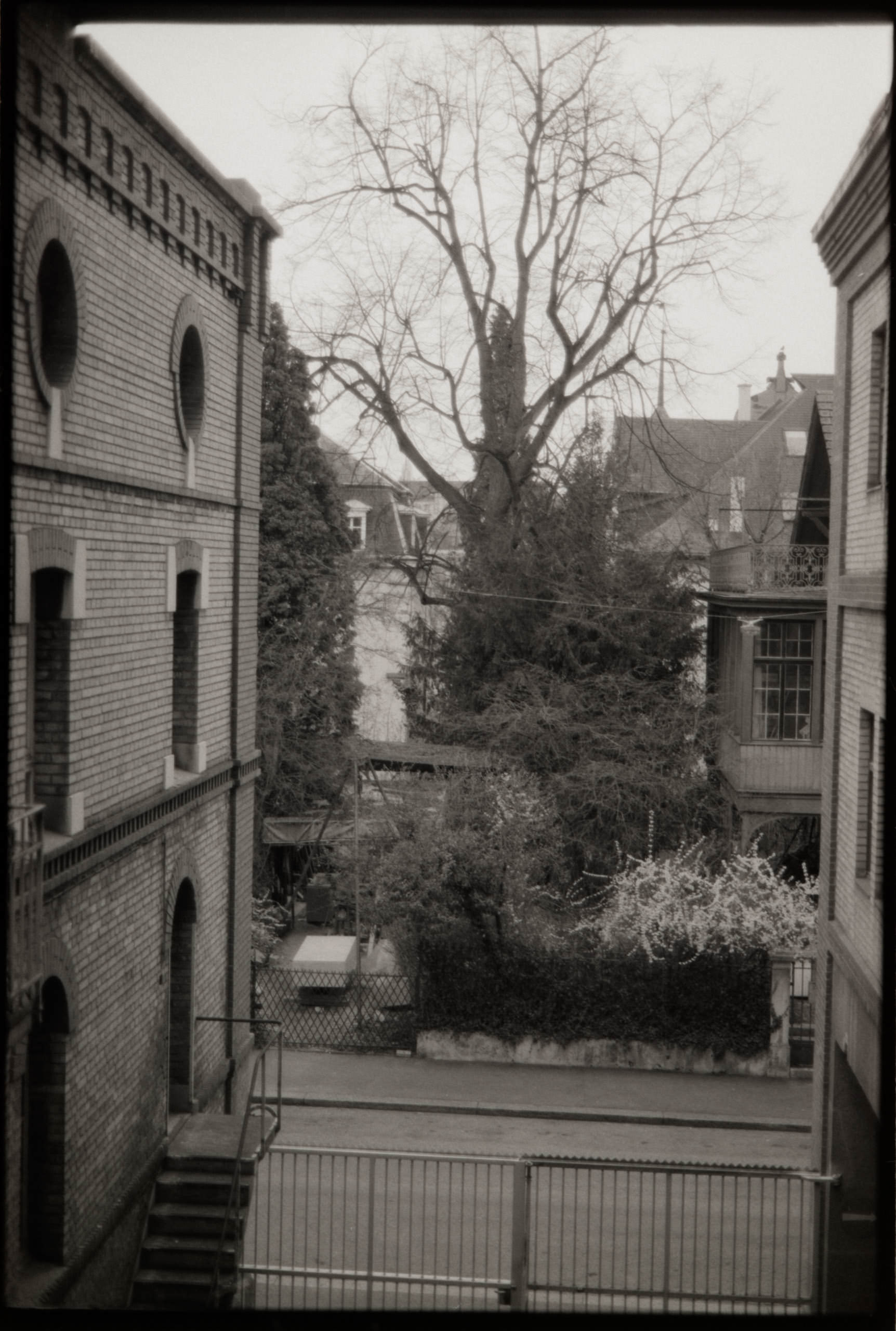 AHP FilmScan 240731 0716